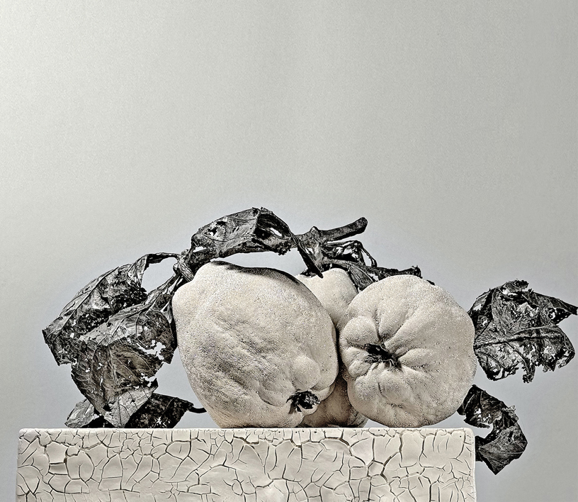 Quince – Reliquia #2